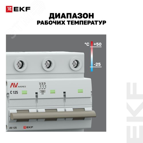 Миниатюра 16