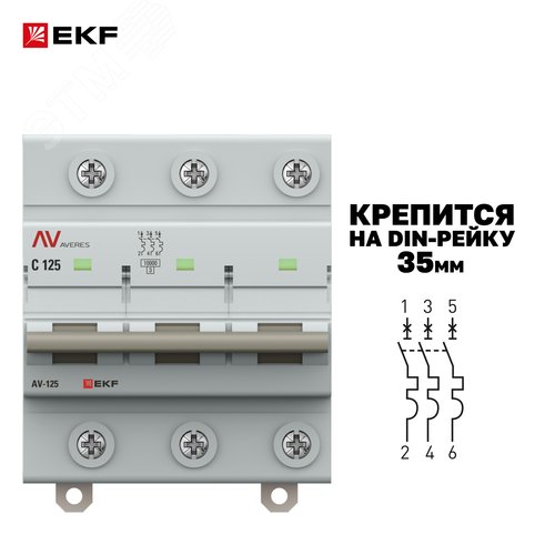 Миниатюра 3