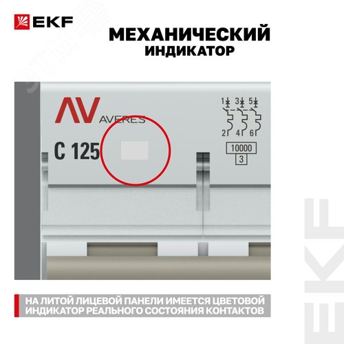 Миниатюра 13