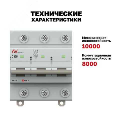 Миниатюра 15