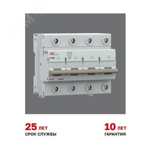 Миниатюра 8