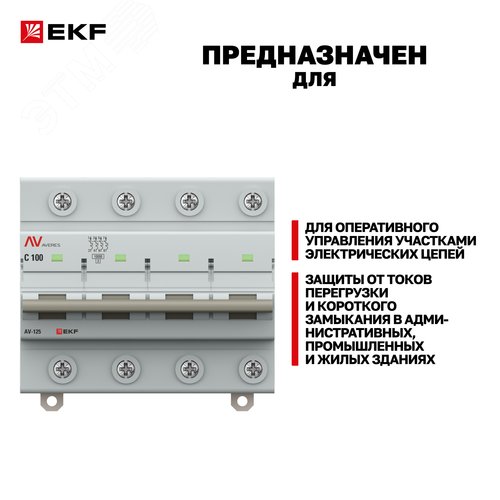 Миниатюра 11