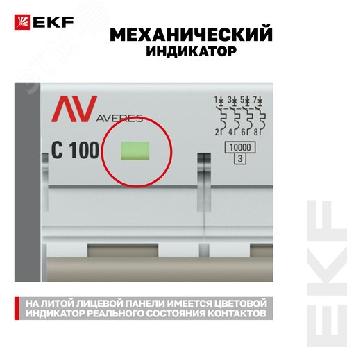 Миниатюра 14