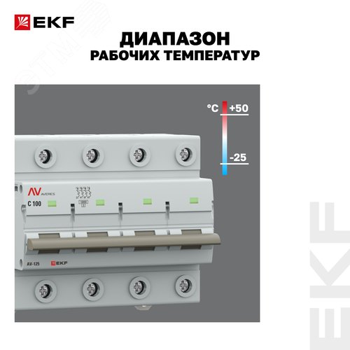 Миниатюра 17