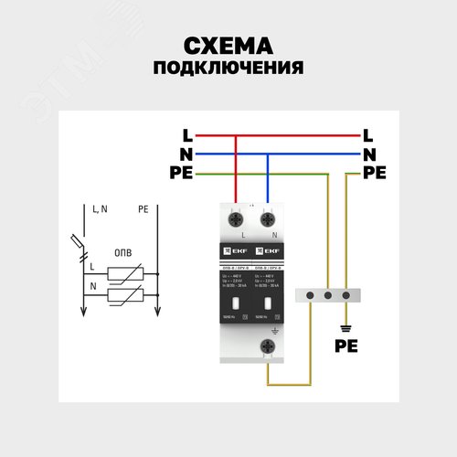 Миниатюра 8