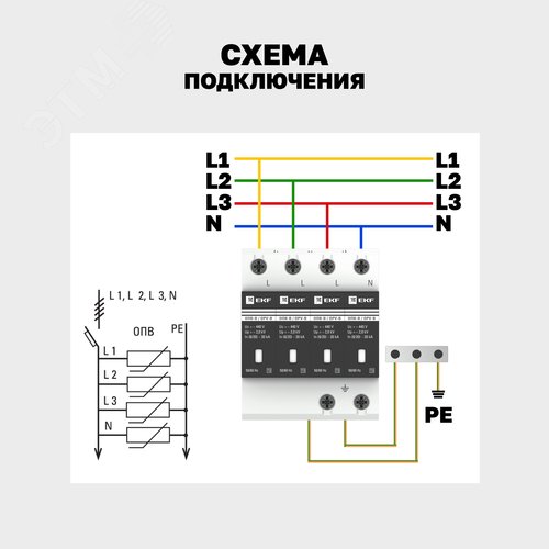 Миниатюра 8