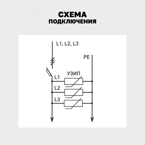 Миниатюра 8