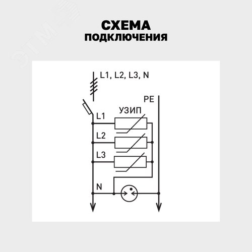 Миниатюра 6