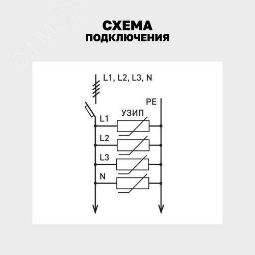 Миниатюра 8