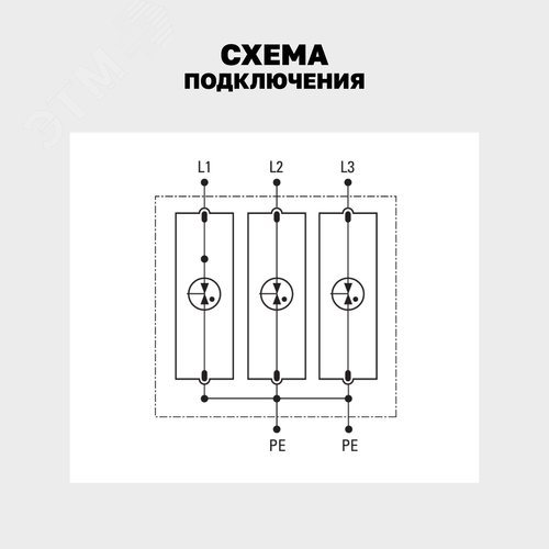 Миниатюра 11