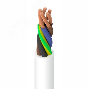 Миниатюра 7