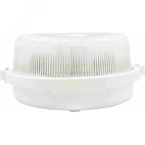 Миниатюра 4