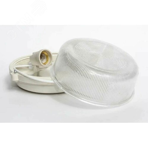 Миниатюра 6