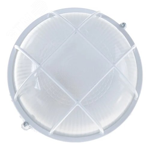 Миниатюра 4