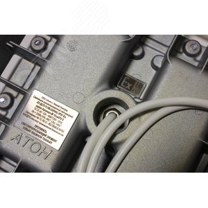 Миниатюра 5