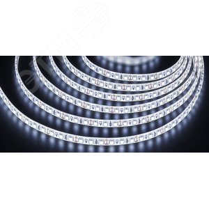 Лента светодиодная 9.6Вт/м 12В 6000К IP65 120LED/м NLS-3528 5м