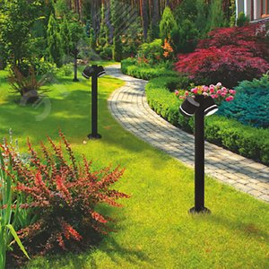 Миниатюра 3