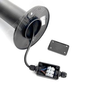 Миниатюра 4