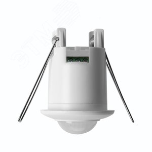 Миниатюра 2