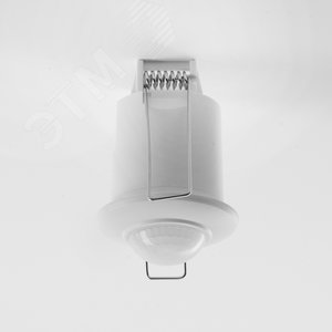 Миниатюра 3