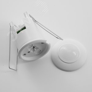 Миниатюра 6