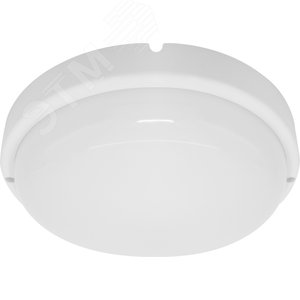 Светильник светодиодный ДБП-12w 4000К 900 Лм IP65 круглый белый ЖКХ