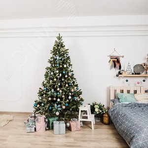 Миниатюра 6