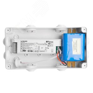 Миниатюра 4