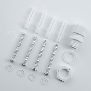 Миниатюра 7