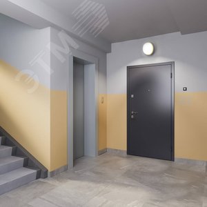 Миниатюра 4