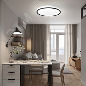 Миниатюра 7