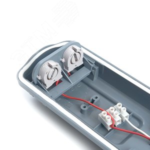 Миниатюра 5