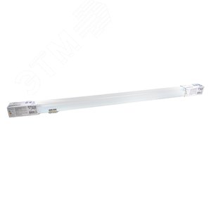 Миниатюра 8