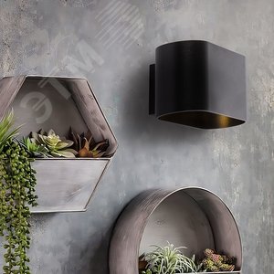 Миниатюра 13