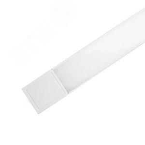 Миниатюра 7
