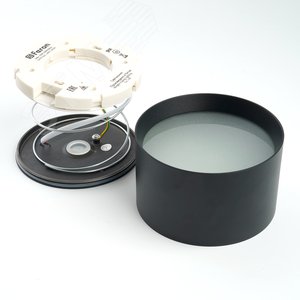 Миниатюра 4