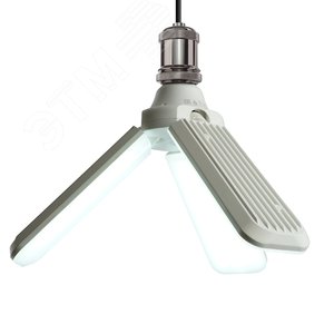 Миниатюра 7