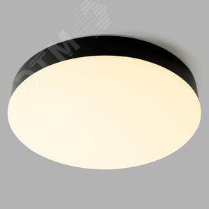 Миниатюра 10