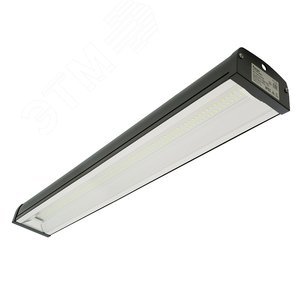 Миниатюра 13