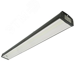 Миниатюра 13