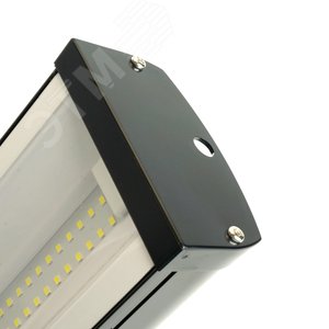 Миниатюра 5