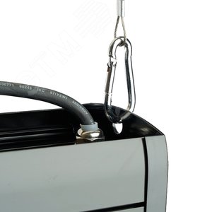 Миниатюра 7