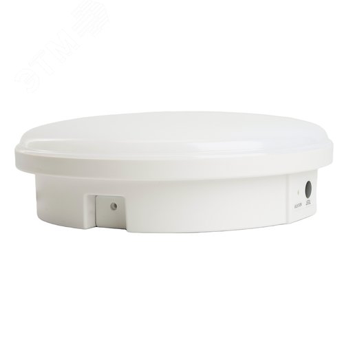 Миниатюра 5