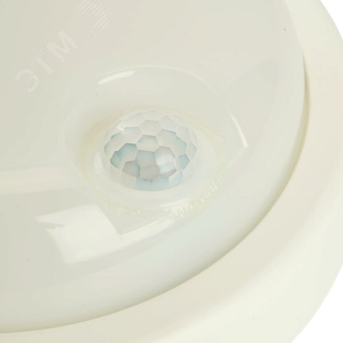 Миниатюра 4